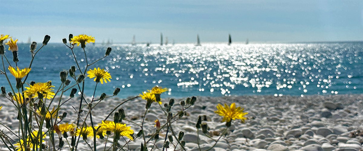 Abahana Villas - Práctica de la vela en la bahía de Altea.