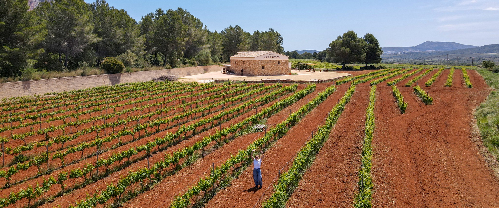 Les Freses - Vista de la bodega y viñedos.