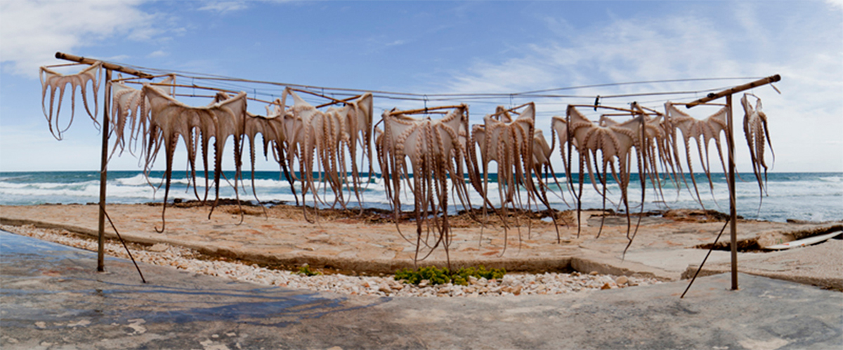 Abahana Villas - Detalle del secado del pulpo en Denia.
