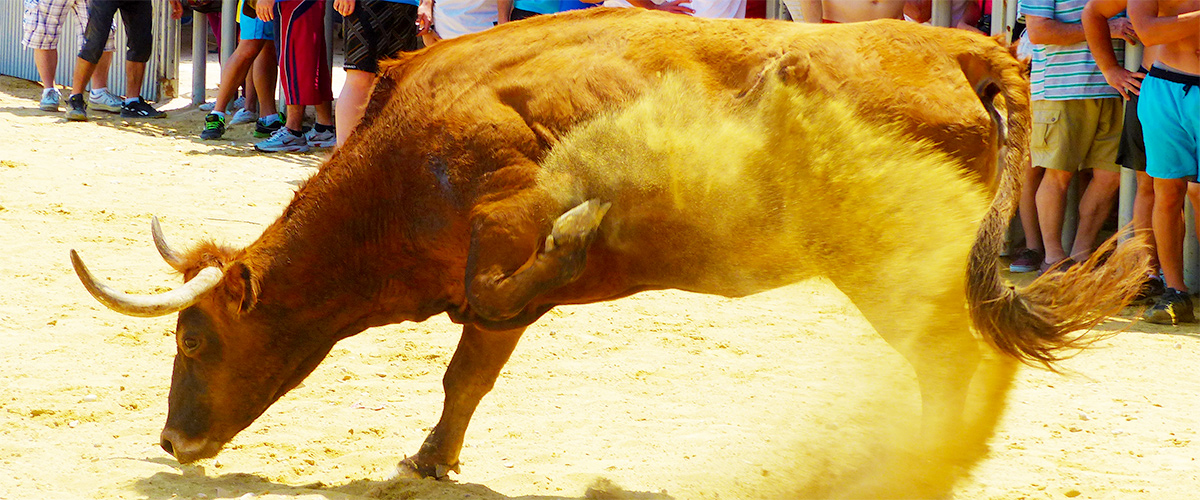 Abahana Villas - Vaquilla en la plaza del puerto de Dénia.